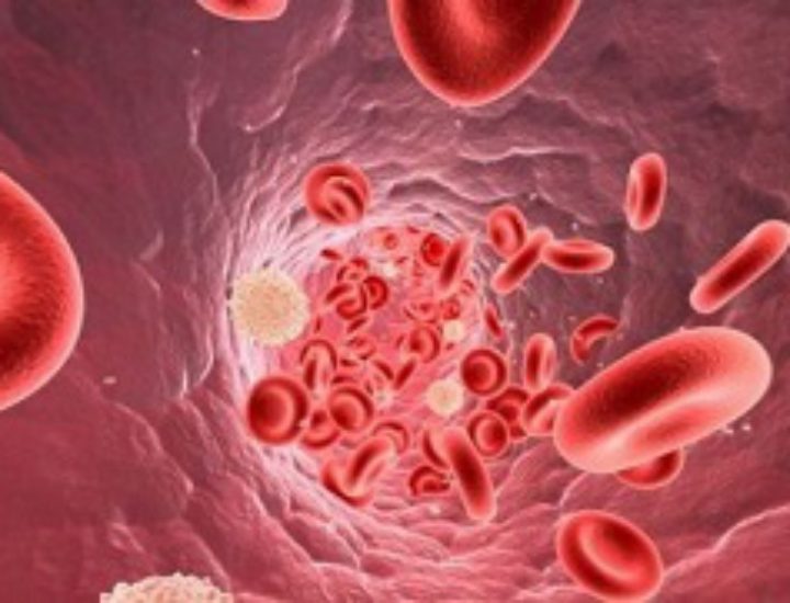 Норма лейкоцитов в крови у женщин