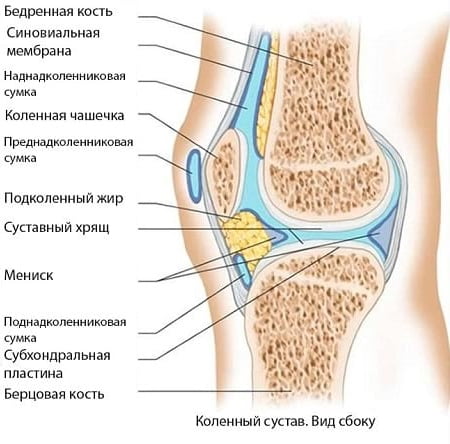 Эхографическая картина синовита коленного сустава лечение