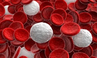 Повышенные лейкоциты в крови